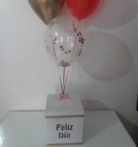 CAJA ESPECIAL_3